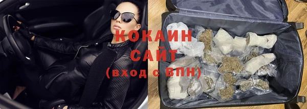 молекула духа Богданович