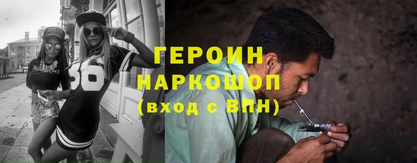 молекула духа Богданович