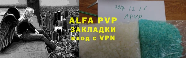 молекула духа Богданович