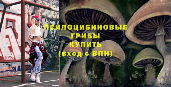 винт Богородицк
