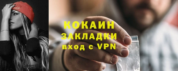 молекула духа Богданович