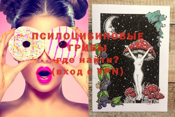 молекула духа Богданович