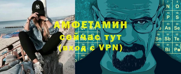 молекула духа Богданович