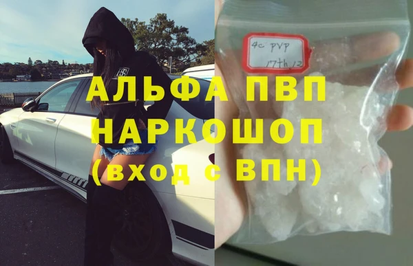 молекула духа Богданович