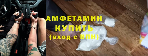 молекула духа Богданович