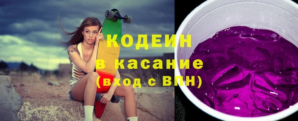 молекула духа Богданович